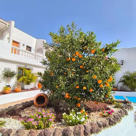 Lejlighed Sunlit Isle - Heated Pool, Fibre Net, Cristianos Los Cristianos (Tenerife)