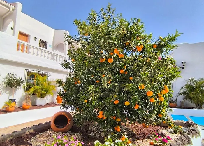 Apartmán Sunlit Isle - Heated Pool, Fibre Net, Cristianos Los Cristianos (Tenerife)